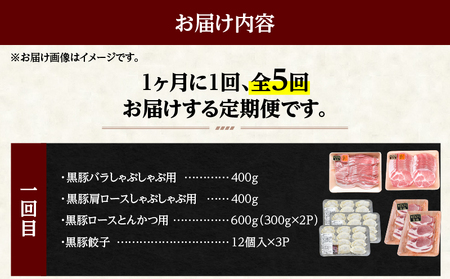 2030-1 黒豚 バラエティ ふるさと 定期A【 全5回 】 KN038-T03 豚肉 定期便 しゃぶしゃぶ トンカツ 鍋 焼き肉 ギョーザ 焼き豚 チャーシュー 叉焼 お楽しみ 和田養豚 ふるさと