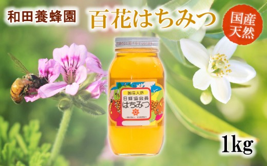 40-15　和田養蜂園　宇土市産の天然「百花はちみつ」1ｋｇ