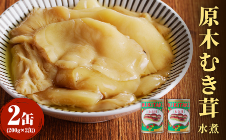大江町柳川産 原木むき茸水煮200g×2缶（固形量） 014-015