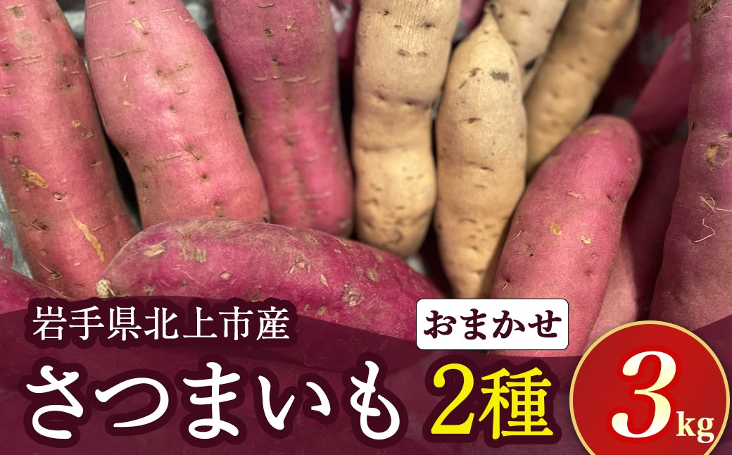 
            【 予約受付 2025年産 】 さつまいも 2種類 3kg　（ シルクスイート 、 パープルスイート 、 ハロウィンスイート 、 紅あずま 、 紅はるか 、 安納芋 、 鳴門金時 等から 2品種 詰め合わせ ） 国産 サツマイモ セット さつま芋 野菜  岩手県 北上市 齋藤 智仁 B0399 産地直送 ※令和7年9月下旬より発送開始予定
          