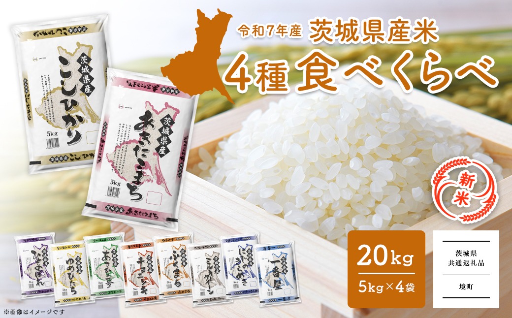 令和5年産 お米4種食べくらべ 20kg 茨城県産