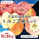 【ふるさと納税】 青森県 希少りんご サンふじ ＆ ムーンルージュ 約5kgセット 【泉山果樹園】 青森りんご ふじ ムーンルージュ リンゴ 林檎 アップル あおもり 青森 南部町 三戸 南部 果物 くだもの フルーツ 2種セット F21U-277