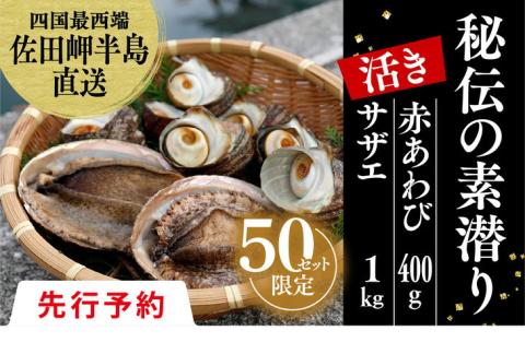 【先行予約】【数量限定】佐田岬海士のあわび・さざえセットB 【4/15～10/25の漁解禁日に合わせて発送】 ※北海道・東北地方・沖縄・離島への配送不可