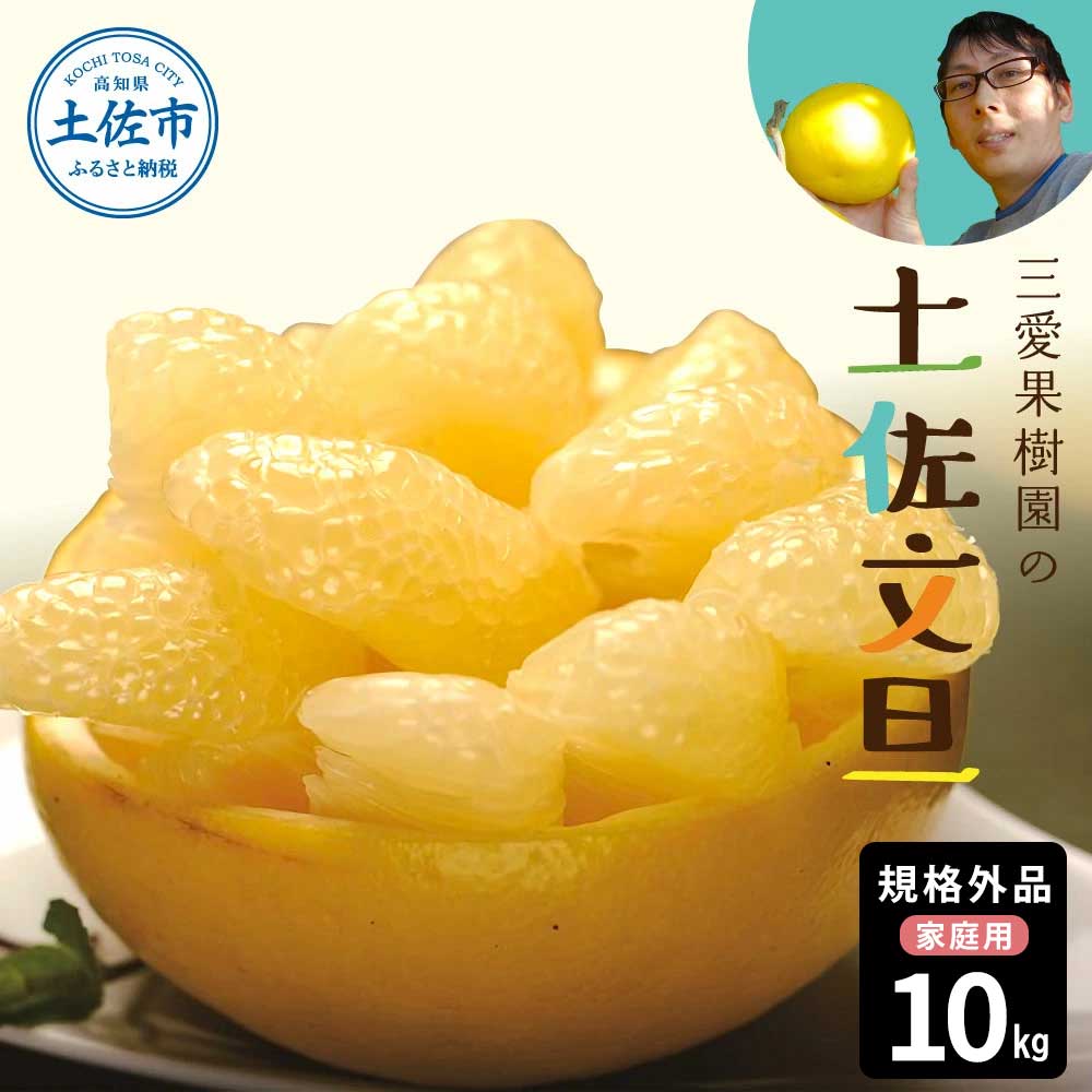 文旦 約10kg 10キロ L～4Lサイズ 土佐文旦 みかん 柑橘 ぶんたん ブンタン 果物 フルーツ デザート おやつ 三愛果樹園の土佐文旦 おいしい 美味しい 規格外品 お取り寄せ 常温 配送
