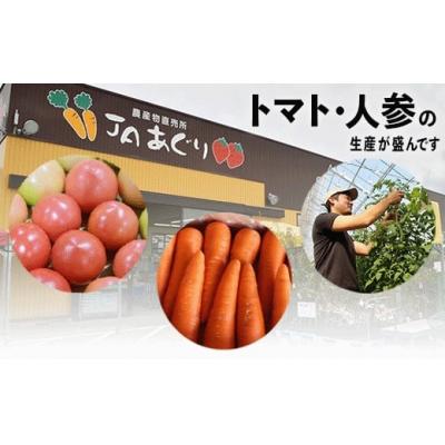 ふるさと納税 小松市 【6ヶ月定期便】小松市産季節の野菜詰め合わせ 定期便 JA小松 野菜定期便 |  | 03