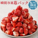 【ふるさと納税】瞬間冷凍苺パック 約1kg 約500g×2袋 冷凍いちご 冷凍あまおう いちご 苺 フローズン 冷凍 福岡県産 筑後市産 九州産 送料無料