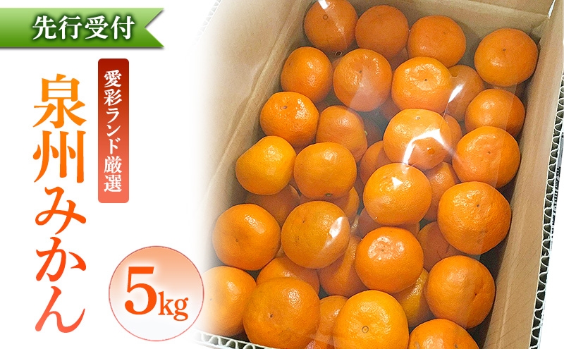
                  泉州みかん 5kg 先行予約 愛彩ランド厳選 ミカン みかん 蜜柑 【数量限定】フルーツ 果物 くだもの 柑橘 旬の味覚 お取り寄せ 冬ギフト 贈り物 ギフト 家庭用 大阪府 岸和田市 [№5385-1312]
                