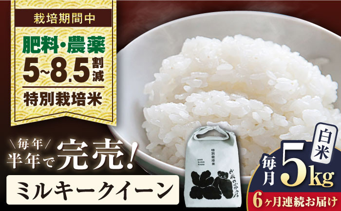 
                  【令和8年産 新米】【全6回定期便】米 ミルキークイーン 5kg 白米 特別栽培米  滋賀県長浜市/株式会社お米の家倉 [AQCP026] 米 定期便 白米  5kg ミルキークイーン 特別栽培米  滋賀県産 長浜市産 こめ お米  食品 国産 炊きたて 米ギフト もちもち ブランド米  食卓 美味しい 人気 ごはん ご飯 おにぎり 炊き込みご飯 おすすめ プレゼント 贈答
                