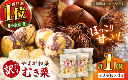 【先行予約】【訳あり】 むき栗 約1kg （約250g×4袋）【すみれファーム】[ZEP062]