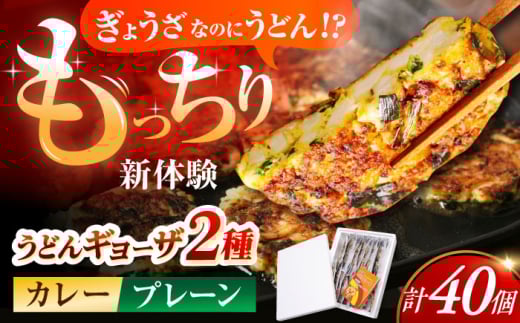 餃子 高槻うどんギョーザふるさとギフト【プレーン＆カレー 40個】 餃子 ぎょうざ ギョーザ うどん 焼きうどん お好み焼き お好み焼き風 家庭料理 おつまみ つまみ おやつ お酒 ビール アルコール お取り寄せ 取り寄せ 冷凍 ご当地グルメ 食品 贈答 ギフト 贈り物 プレゼント 人気 おすすめ 送料無料 大阪 高槻 ふるさと納税 大阪府高槻市/高槻うどんギョーザの会 [AOAU004]