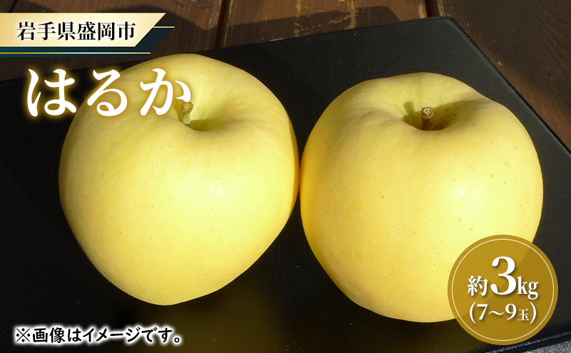 
                  <先行予約> りんご はるか 3kg 完熟 特別栽培 12月上旬~発送 りんご リンゴ ringo はるか 林檎 家庭 贈答 産地直送 新鮮 アップル くだもの 果物 フルーツ ハルカ りんご 旬 甘い りんご おすすめ 冬 特産 岩手県 盛岡市 東北 岩手 盛岡 大櫻農園 ozakura006
                
