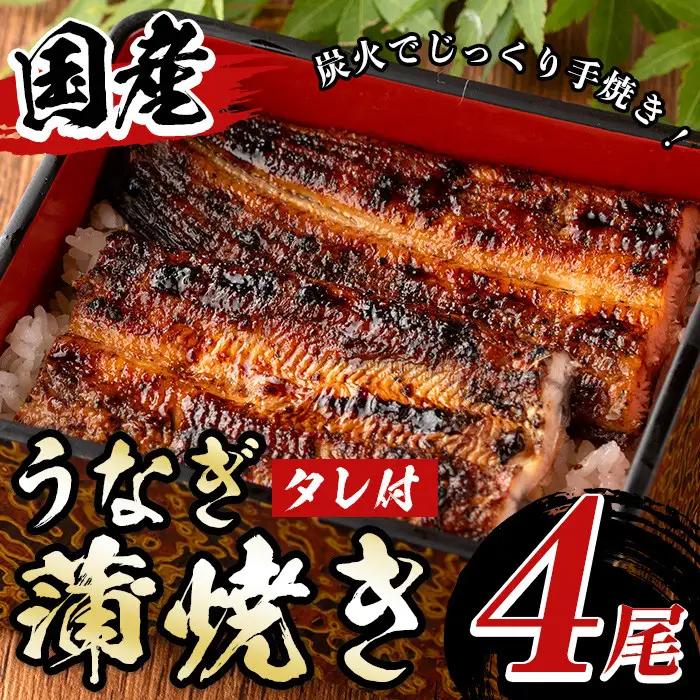 国産！うなぎ蒲焼き(4尾・タレ付き) 国産 九州産 鹿児島県 宮崎県 鰻 ウナギ unagi うな重 うな丼 ひつまぶし うなじゅう 蒲焼 かばやき 白焼 しらやき 無頭 魚 魚介類 土用 丑の日 タレ タレ付 おかず 惣菜 冷蔵 特産品 お土産 ギフト プレゼント ご贈答用 【尾方屋】_y511