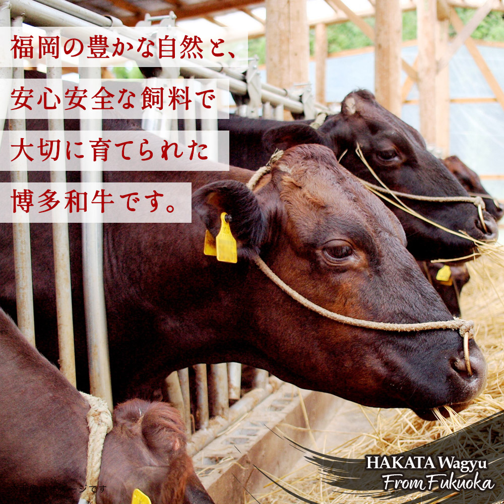 博多和牛 赤身肉セットA 赤身焼肉＆赤身スライス