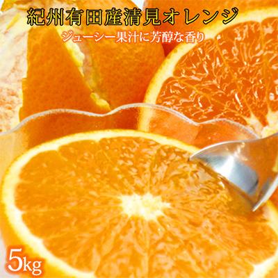 ふるさと納税 和歌山市 【発送月固定定期便】紀州和歌山産旬のフルーツセット(みかん・清見・桃・柿)全4回 |  | 01