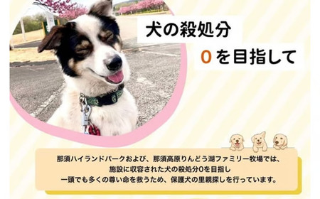 【活動応援】那須ハイ＆りんどう湖　SOS保護犬活動　オリジナルトートバッグ〔P-355〕| 保護犬 トート バッグ 日用品 雑貨 支援 動物愛護 応援 地域応援 愛犬 愛犬家 動物 ペット 社会貢献 