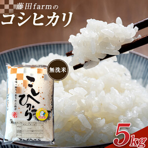 【寄附額を見直しました！】令和7年産 大田原市 藤田farmのコシヒカリ 【無洗米】 5kg ｜栃木県産 米 お米  コメ こしひかり コシヒカリ 栃木県 【選べる容量】5kg 10kg  数量限定