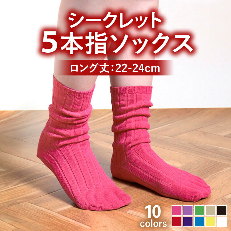 【ふるさと納税】camicks (ロング丈シークレット五本指ソックス)