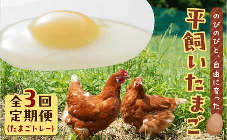 【 全3回 定期便 】 平飼い たまご （ たまごトレー ） T074-T01-02 卵