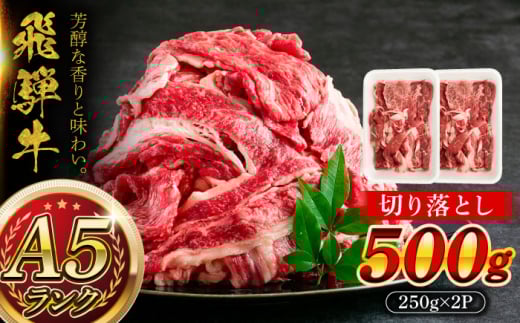 【12/22までの決済で年内発送】A5等級 飛騨牛 切り落とし 500g (250g×2P) 瑞浪市 / マルチョウ渡辺精肉店 牛肉 和牛 国産 岐阜県 飛騨牛牛肉 飛騨牛肉 切り落とし牛肉 切り落とし飛騨牛 飛騨牛 和牛肉 和牛飛騨牛 国産牛肉 国産飛騨牛 ぎゅうにく 飛騨ぎゅう ヒダギュウ ひだ牛 牛肉 飛騨牛 飛騨 牛 切り落とし [AZCW001]