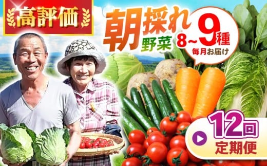 野菜定期便【全12回定期便】諫早産野菜の詰め合わせ 8〜9品目程度 / 野菜 定期便 やさい 旬野菜 旬 新鮮 詰合せ セット 春野菜 夏野菜 秋野菜 冬野菜 定期便 / 諫早市 / 肥前グローカル株式会社  [AHDI003]
