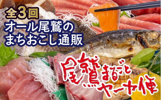 【オプション全部盛り！！】「オール尾鷲」の大人気まちおこし通販便（年3回） 尾鷲まるごとヤーヤ便 （年3回） 【12月31日までにお申し込みの方にオリジナルグッズプレゼント！】 YA-12