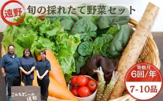【 奇数月 6回 定期便 】 旬 採れたて 野菜 詰め合わせ セット （7～10品）レギュラーサイズ【 こんたでぃーの遠野 】