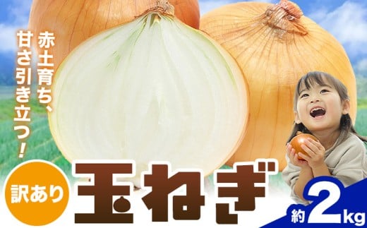 玉ねぎ 料理に使いやすい！産地直送訳あり 玉ねぎ 約2kg 株式会社シグマサポート《2026年4月下旬-6月上旬頃出荷》三重県 東員町 玉ねぎ 玉葱 タマネギ たまねぎ 野菜 甘い 送料無料