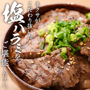 プライム牛 塩ハラミ(計600g) 小分け 牛肉 肉 ハラミ 牛はらみ 味付け 焼肉 塩 BBQ 冷凍 大分県 佐伯市【DH296】【(株)ネクサ】