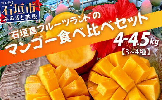 【先行予約】産地直送！石垣島産 マンゴー 食べ比べセット4～4.5kg (３～４種)  (2025年6月中旬～8月下旬発送) IF-8