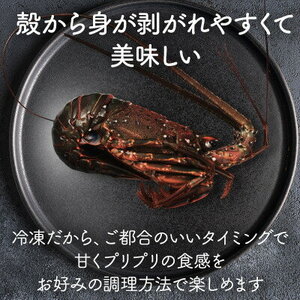 甘い!旨い!冷凍品とは思えない!活け〆リキッド冷凍伊勢海老(刺身用) 20尾で4kg【配送不可地域：離島】【1578307】