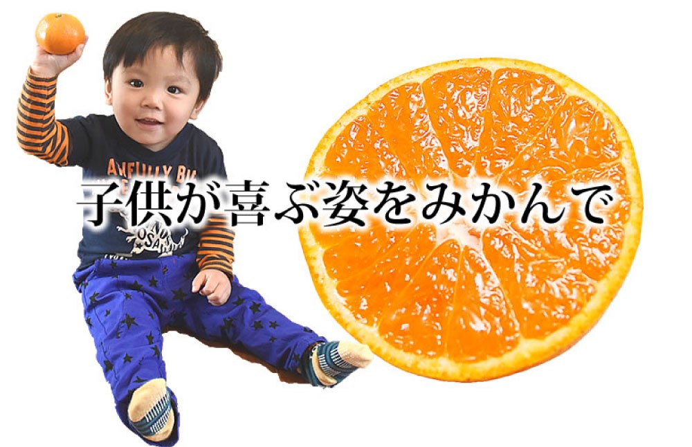 訳ありみかん 約5kg