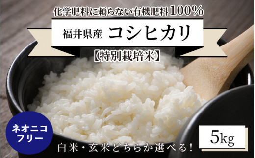 
【令和5年産】【特別栽培米】福井県産 コシヒカリ 5kg ～化学肥料にたよらない 有機肥料100%～ ネオニコフリー [A-13403]
