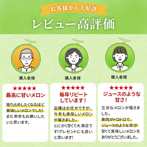 【先行予約2026年産】津軽産 減農薬栽培メロン 3～4玉 糖度16度以上保証！ 果物類 メロン青肉 フルーツ メロン赤肉 