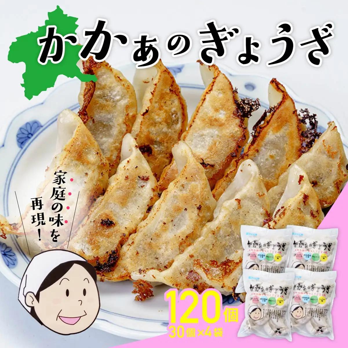 餃子 国産 無添加 かかぁの餃子 120個