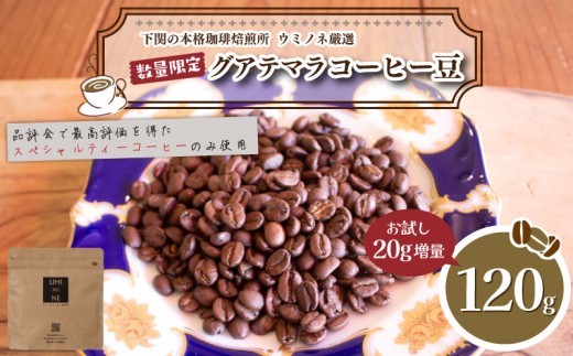 【豆】  訳あり コーヒー豆 お試し 120g 数量限定 グアテマラ 珈琲 自家焙煎 下関 山口