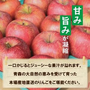 【25年11月より順次発送】平均糖度13度以上! サンふじ 約10kg 訳あり【配送不可地域：離島・沖縄県】【1609617】