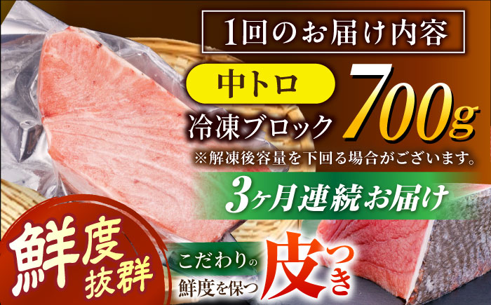 【全3回定期便 (月1回) 】長崎県産 本マグロ 中トロ皮付き 約700g 【大村湾漁業協同組合】 [BAK025] / マグロ まぐろ 中トロ 中とろ 刺身