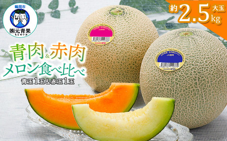 【令和8年産先行予約】 庄内砂丘青肉・赤肉メロン食べくらべ　 各1玉 (計2玉) 約2.5kg 山形県鶴岡市産　株式会社 元青果