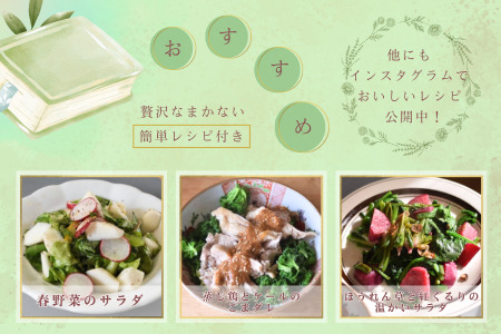 信州北八ヶ岳からお届け～ちいさな畑セット～（Lサイズ　３～４人前）有機野菜〔NK-02〕