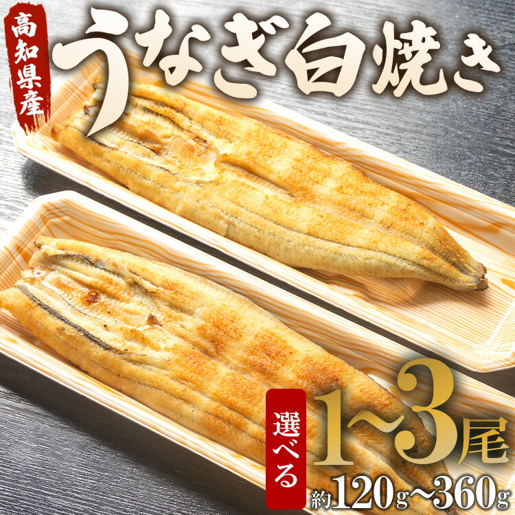 【ふるさと納税】高知県産うなぎ白焼き（選べる：計約120g〜約360g 1尾〜3尾）無頭 - 送料無料 鰻 ウナギ 魚介 惣菜 おかず 山椒塩 ギフト お礼 感謝 のし 贈り物 プレゼント 贈答 丑の日 うなぎ屋きた本 高知県 香南市【冷凍】