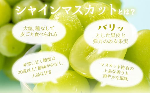 【期間限定】鏡野町産 シャインマスカット 2kg（2〜4房）