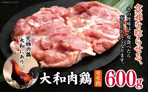 大和肉鶏 モモ肉 600g  |  肉 鶏 大和 鶏肉 かしわ うまみ 料理 和食 洋食 食卓 新鮮 食 フード 高品質 コク おすすめ だし 一貫生産 国産 通販 ギフト 奈良県 五條市