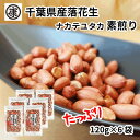 【ふるさと納税】千葉県産落花生 素煎り(120g×6袋)ピーナッツ 落花生 薄皮付 おつまみ【1360656】