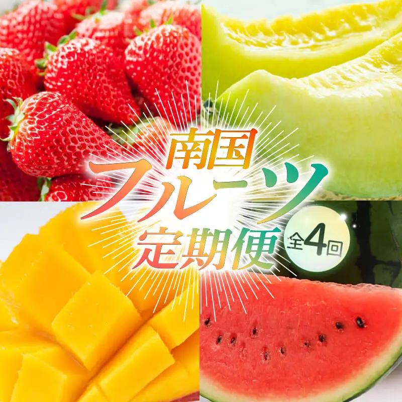 【年4回 旬のフルーツ定期便】｜いちご スイカ マンゴー メロン 定期便 ふるーつ 果物 旬 くだもの 贈答 ギフト 人気 おすすめ 高知県 南国市