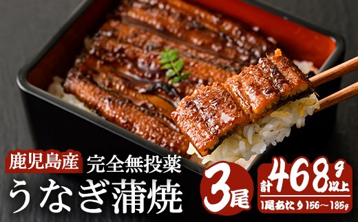 鹿児島産うなぎ蒲焼(無頭) (計468g以上・156g～185g×3尾) 鰻 蒲焼き 真空パック【株式会社財宝】A1117-v01