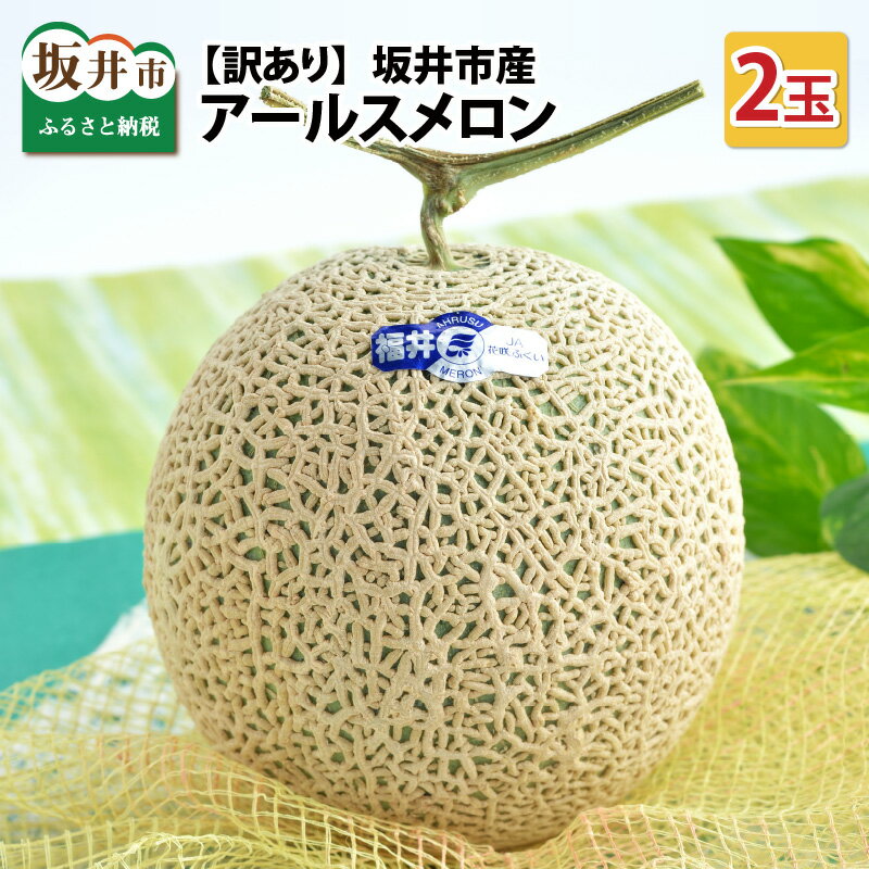 【ふるさと納税】【先行予約】【訳あり】坂井市産 アールスメロン 2玉 【2025年9月上旬以降順次発送予定】