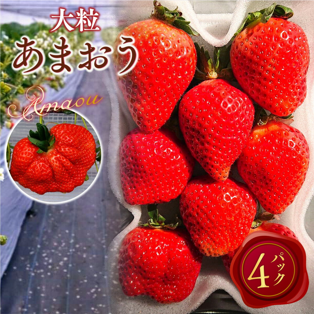 【ふるさと納税】厳選大粒あまおう 約250～270g×4パック 計約1000～1080g いちご 苺 イチゴ フルーツ 果物 お取り寄せ デザート おやつ 福岡県産 冷蔵 送料無料【2026年2月上旬～4月上旬発送予定】