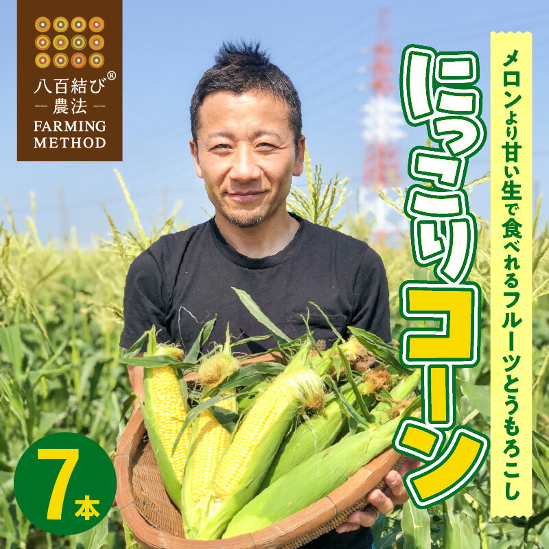 【ふるさと納税】メロンより甘い 甘くて濃厚 2026年発送 とうもろこし 7本 生とうもろこし コーン 糖度 17度以上 にっこりコーン 味来 サニーショコラ 武ちゃん農場 産地直送 朝獲れ 新鮮 愛知県 碧南市 送料無料