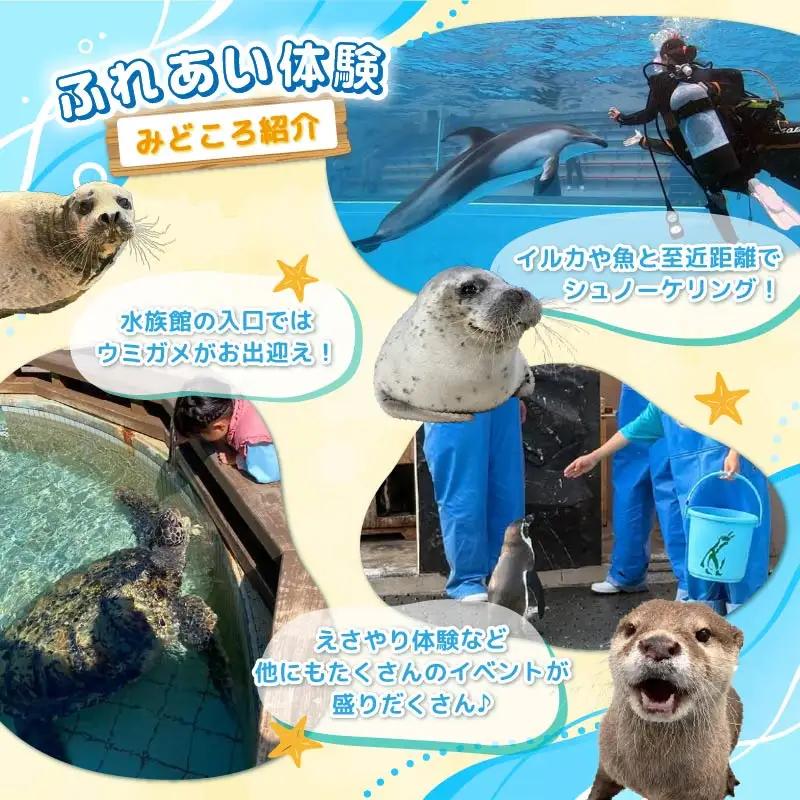 【下田海中水族館】ペア入場券 [水族館 イルカ]