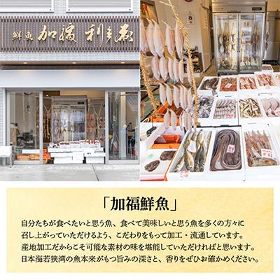 ふるさと納税 小浜市 【2025年2月下旬発送】【加福鮮魚】若狭ぐじ　一汐開き |  | 02
